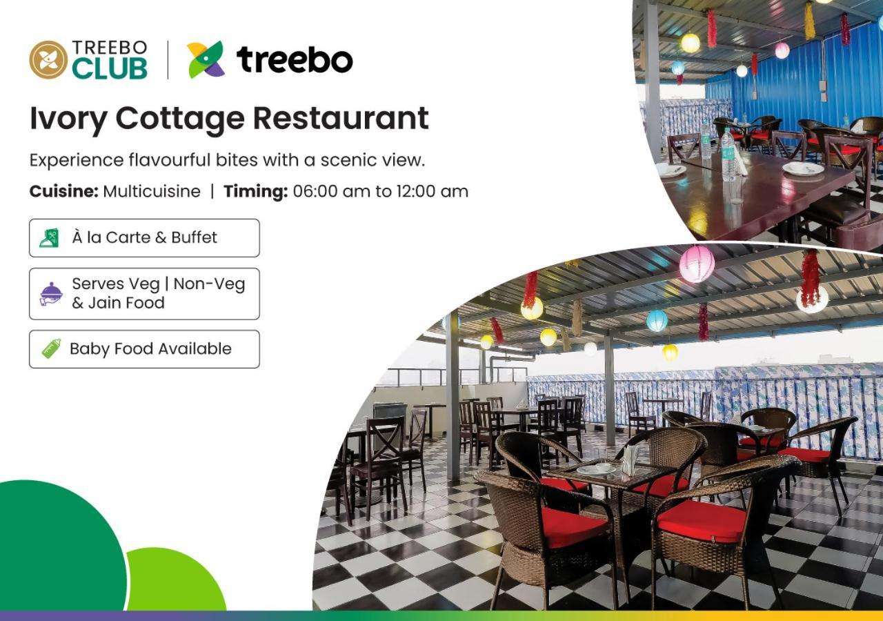 Treebo Rejoice 52 - 3Km From Huda City Metro Station Badshahpur エクステリア 写真